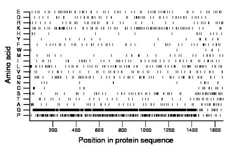 amino acid map