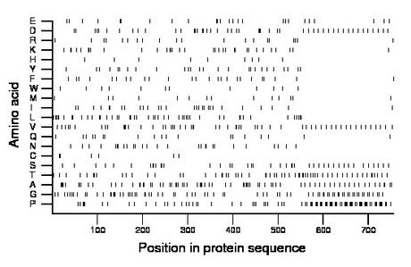 amino acid map