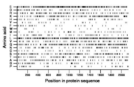 amino acid map