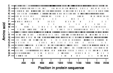 amino acid map