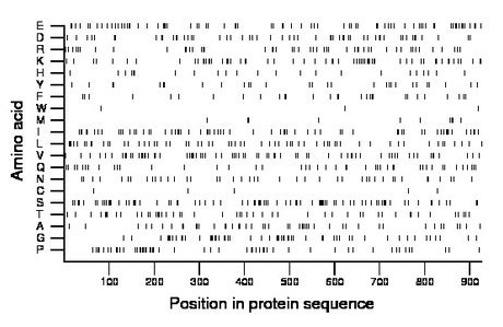 amino acid map