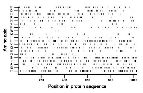 amino acid map