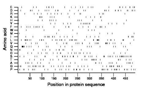 amino acid map