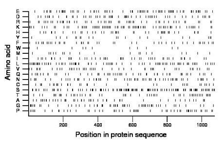 amino acid map