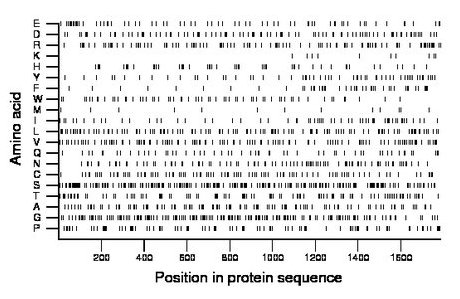 amino acid map