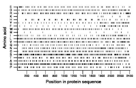 amino acid map