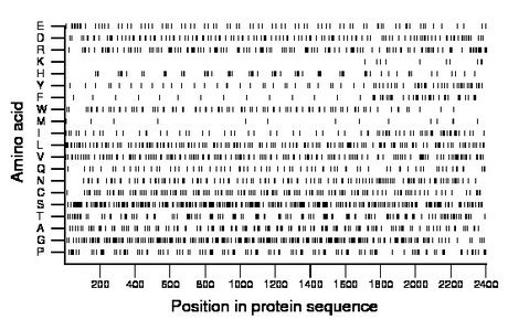 amino acid map