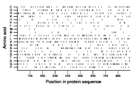 amino acid map