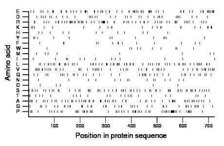 amino acid map