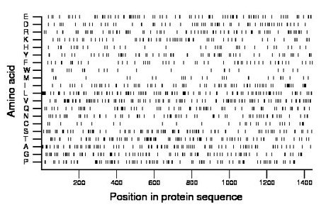 amino acid map