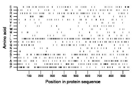 amino acid map