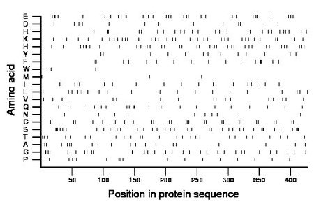 amino acid map