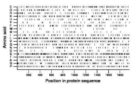 amino acid map