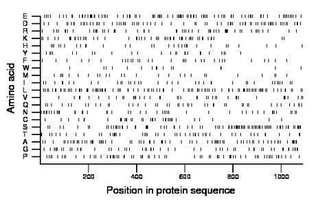 amino acid map