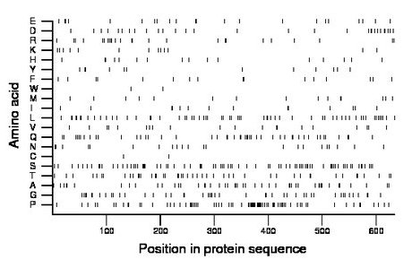 amino acid map