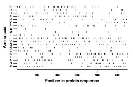 amino acid map