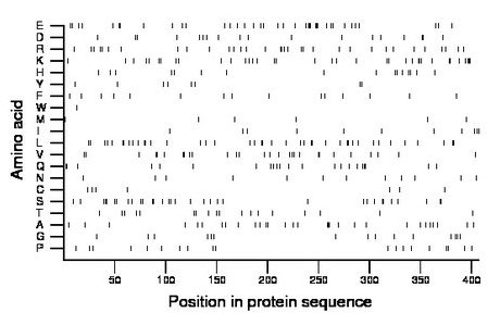 amino acid map