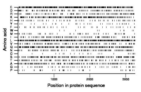 amino acid map