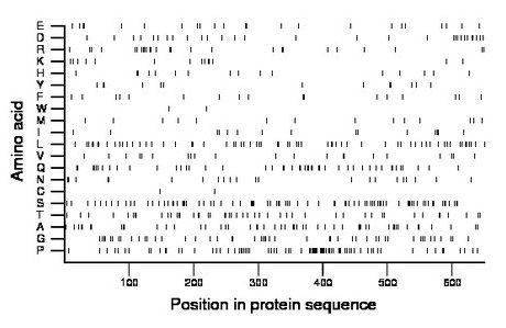 amino acid map