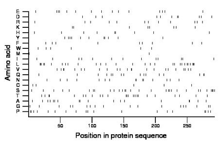 amino acid map