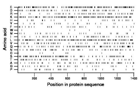 amino acid map