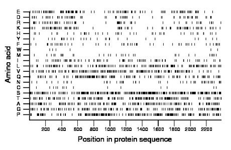 amino acid map