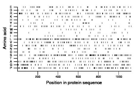 amino acid map