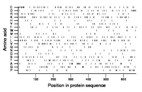 amino acid map