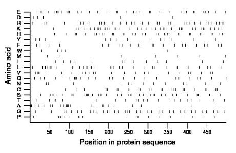 amino acid map