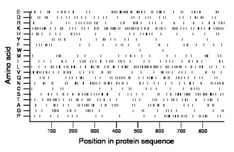 amino acid map