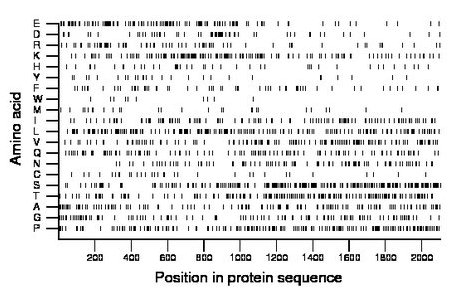 amino acid map