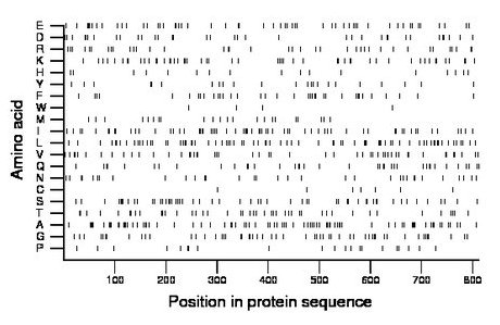 amino acid map