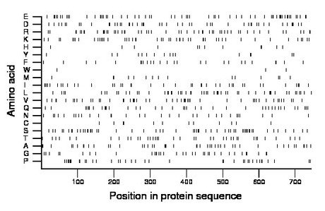 amino acid map