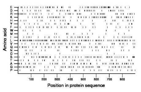 amino acid map