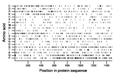 amino acid map