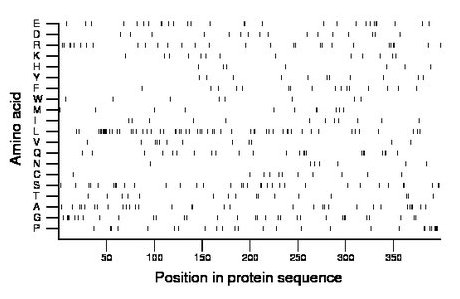 amino acid map