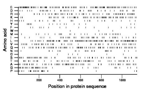 amino acid map