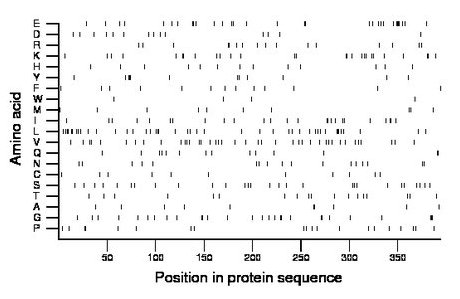 amino acid map