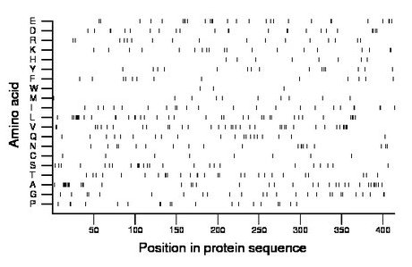 amino acid map