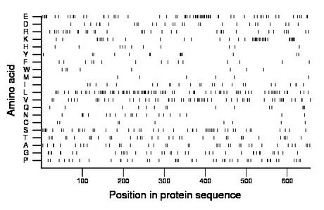 amino acid map