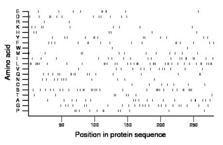 amino acid map