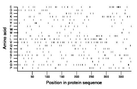 amino acid map