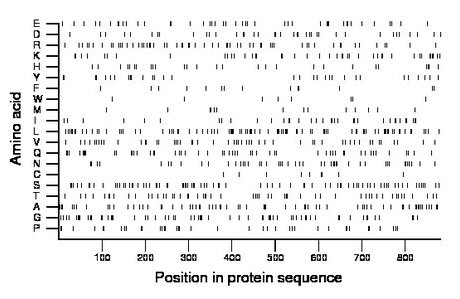 amino acid map