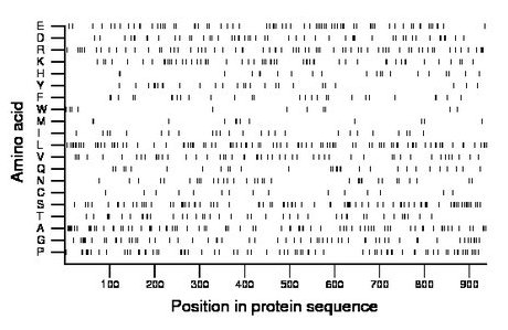 amino acid map