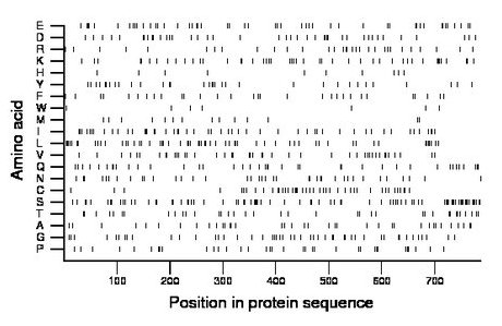 amino acid map