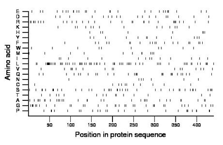 amino acid map