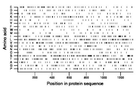 amino acid map