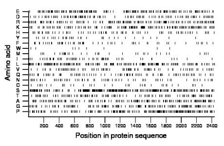 amino acid map