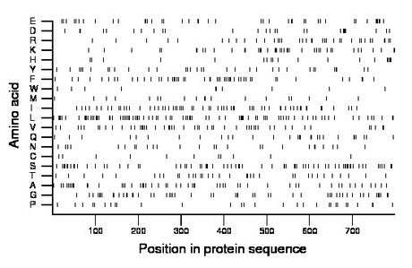 amino acid map