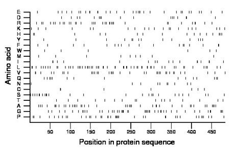 amino acid map